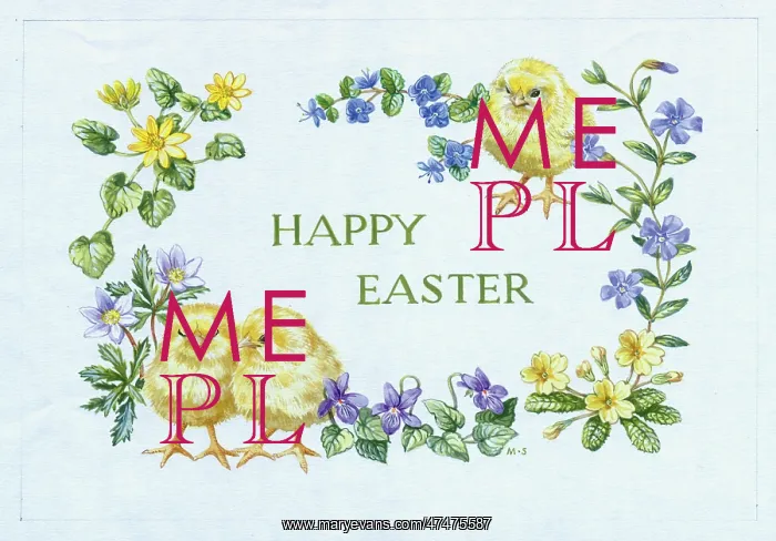 : Three chicks, periwinkle, primroses, violets etc : Three chicks, periwinkle, primroses, violets etc