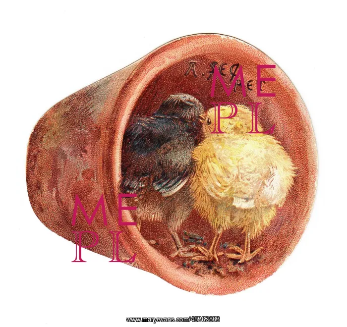 : Two chicks in a plantpot on a cutout greetings card : Two chicks in a plantpot on a cutout greetings card