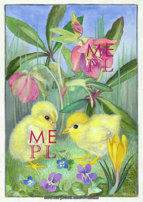  : Two chicks with spring flowers