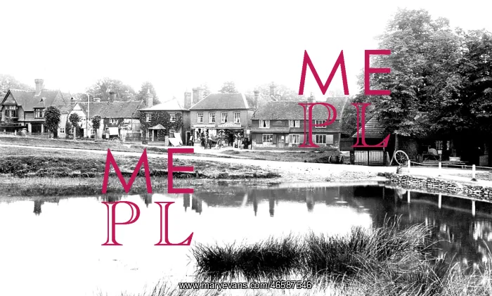  : Chiddingfold, Village and Pond 1902