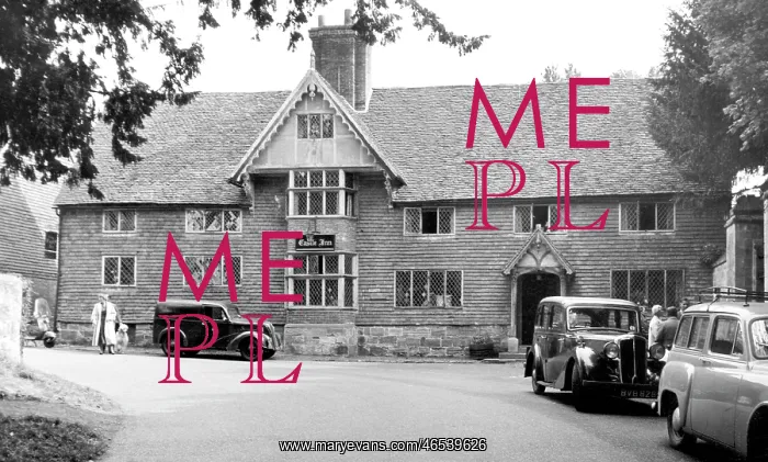  : Chiddingstone, the Castle Inn c1955