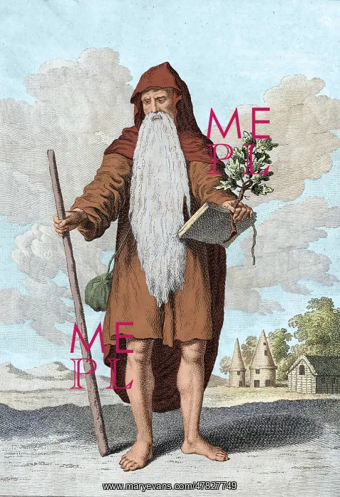 : Chief Druid, Illustration, 1781 : Chief Druid, Illustration, 1781