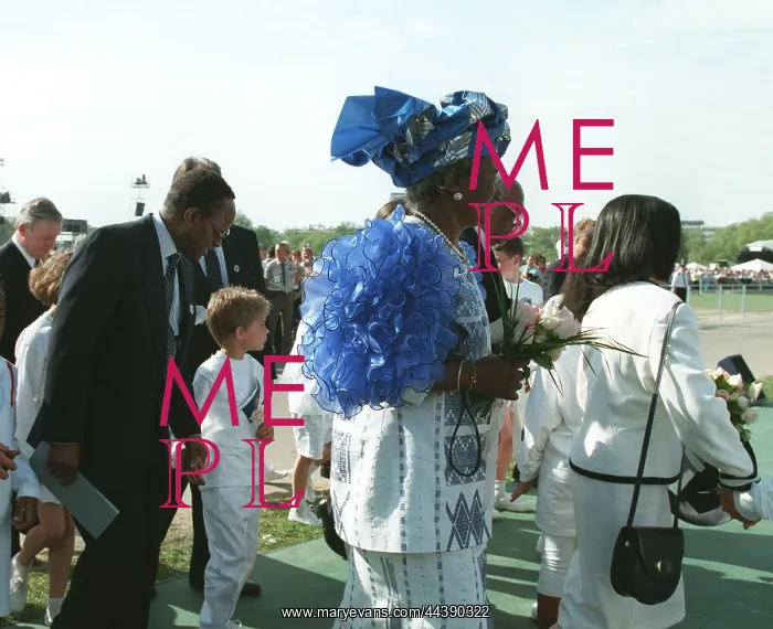 : Chief Emeka & Mrs Anyaoku : Chief Emeka & Mrs Anyaoku