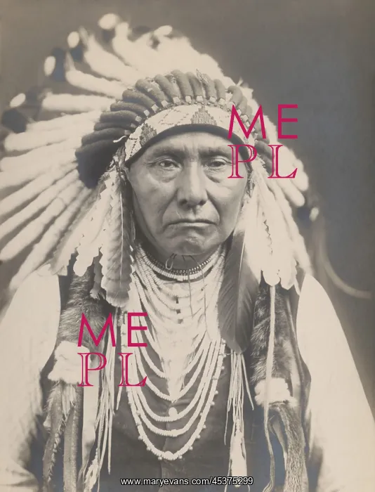 : Chief Joseph, a leader of the Nez Perce War : Chief Joseph, a leader of the Nez Perce War