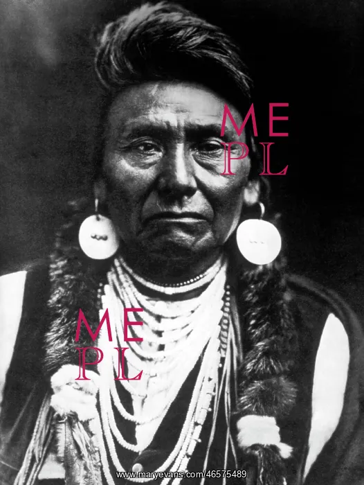  : Chief Joseph, Nez Perce Chief