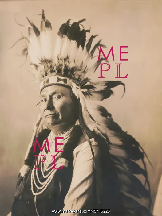 : Chief Joseph - Nez Perce - Native American : Chief Joseph - Nez Perce - Native American