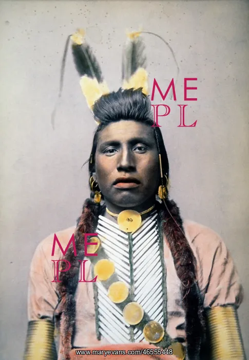  : Chief White Bull