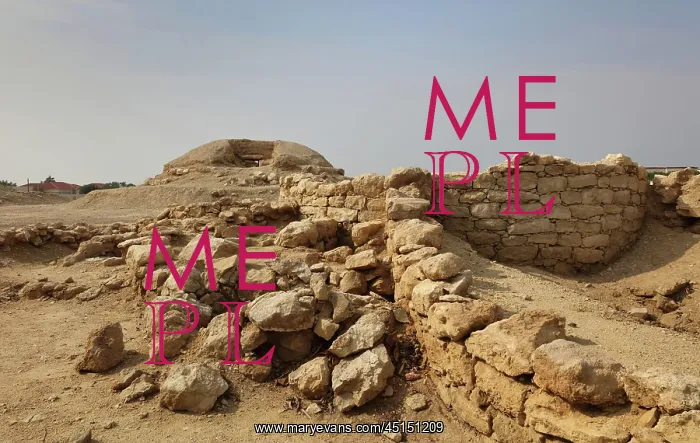 : Chieftain burial mound, Janabiyah, Bahrain : Chieftain burial mound, Janabiyah, Bahrain