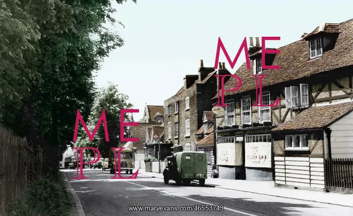  : Chigwell, the Village c1960
