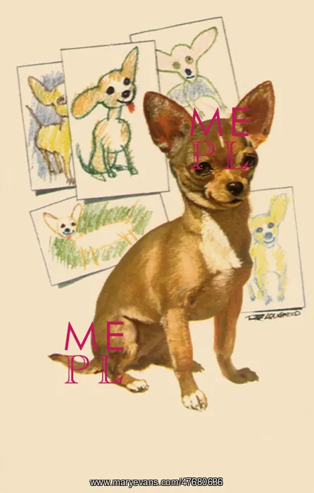  : Chihuahua and Child Art