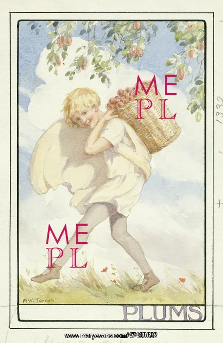 : A child with basket of plums under plum tree : A child with basket of plums under plum tree