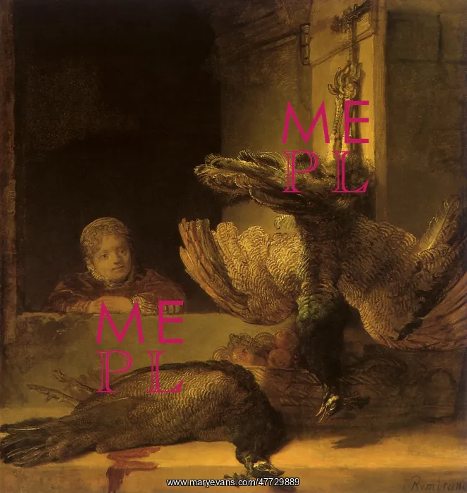  : A Child with Two Dead Peacocks, by Rembrandt