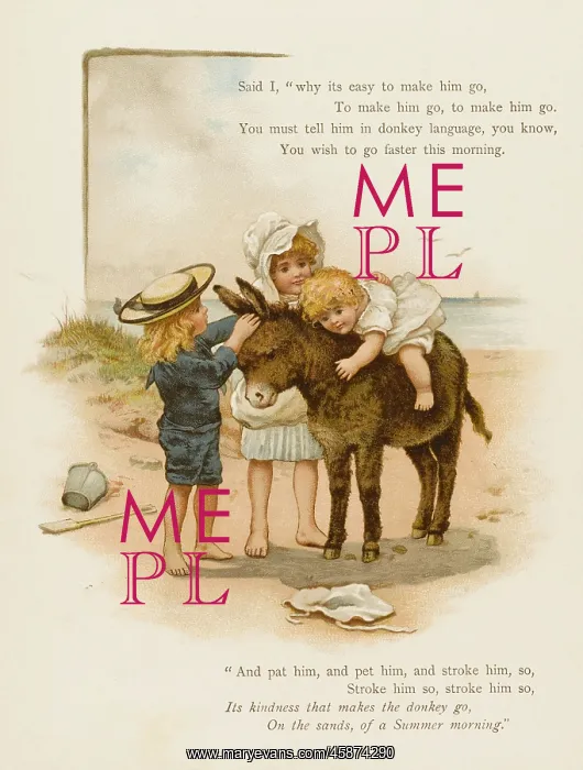  : Child on Donkey