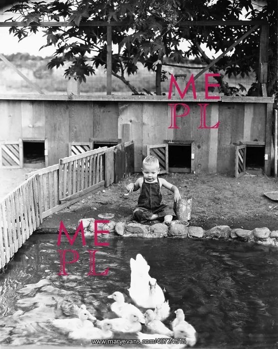  : Child at edge of duck pond