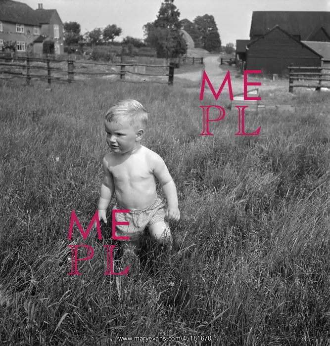: Child In The Grass : Child In The Grass