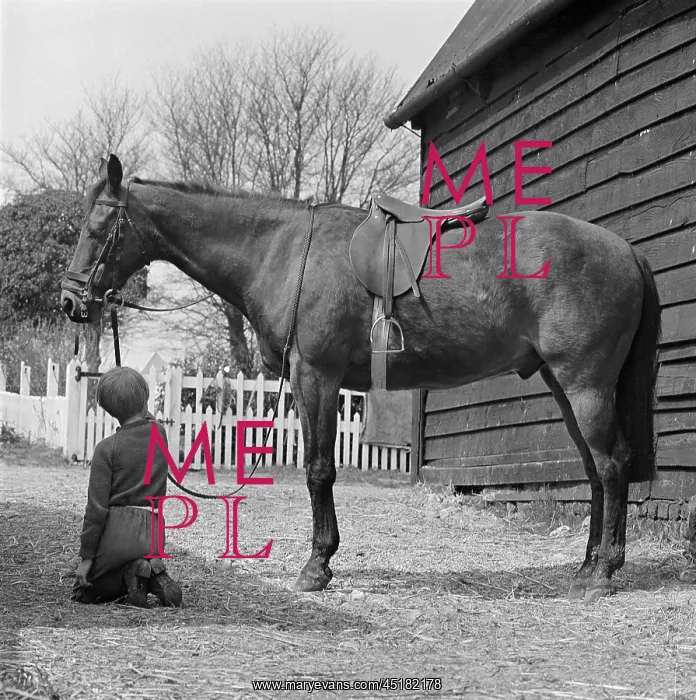 : Child And Horse : Child And Horse