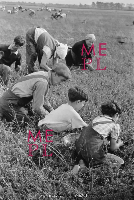 : Child labor during the Great Depression. ? : Child labor during the Great Depression. ?