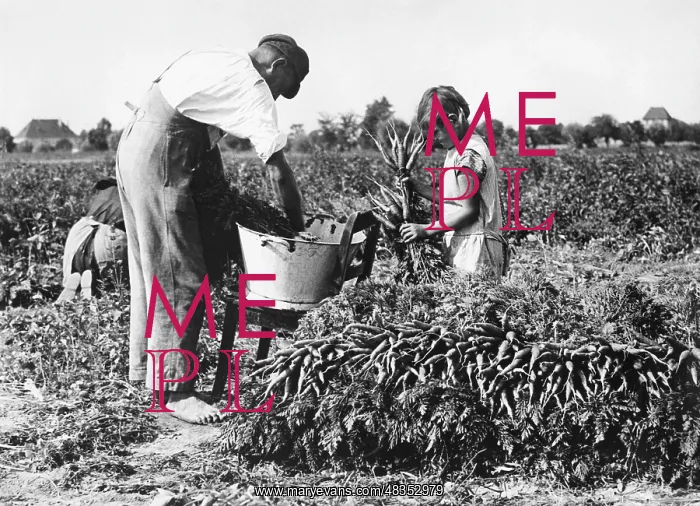 : Child labour, 1932 : Child labour, 1932