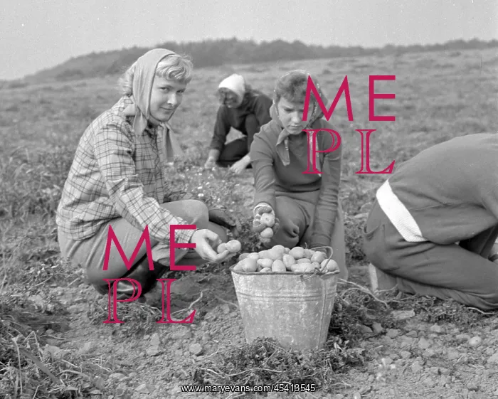 : Child labour : Child labour