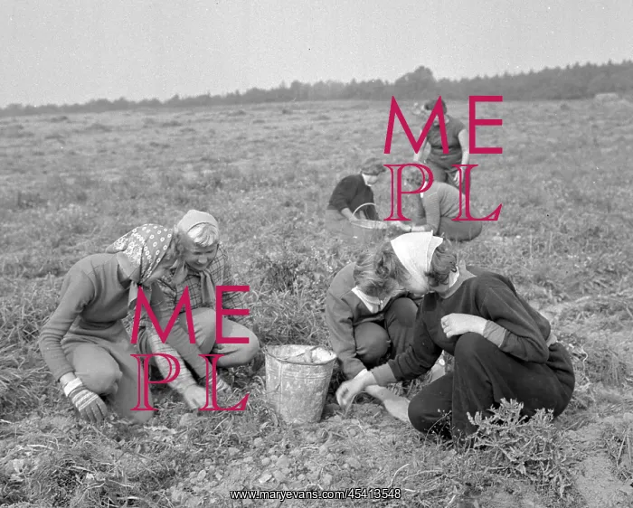 : Child labour : Child labour