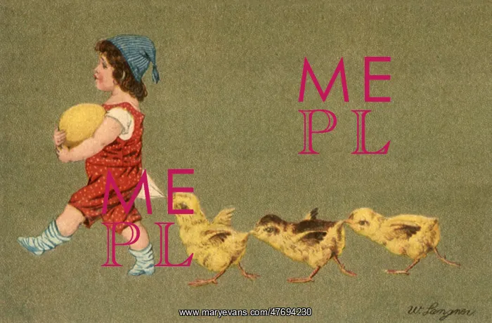  : Child Leading Chicks