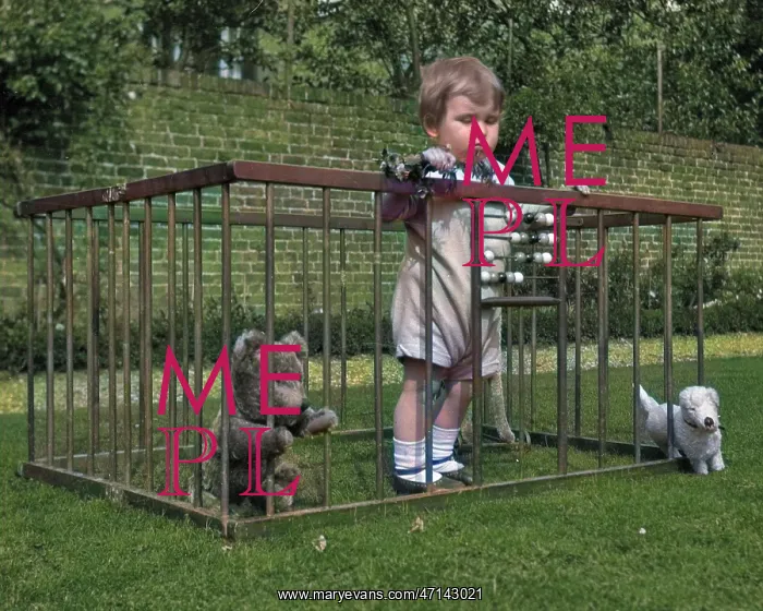  : Child in a playpen in a garden