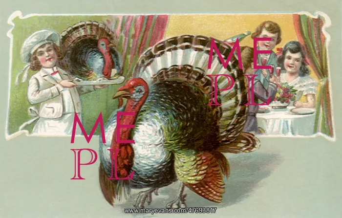 : Child serving live turkey on a Platter