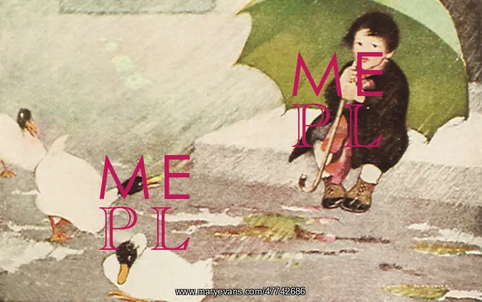 : Child sits with umbrella in rain with ducks : Child sits with umbrella in rain with ducks