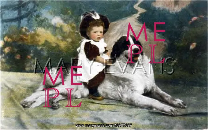  : CHILD AND ST BERNARD