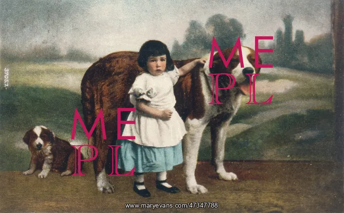  : CHILD AND ST BERNARDS