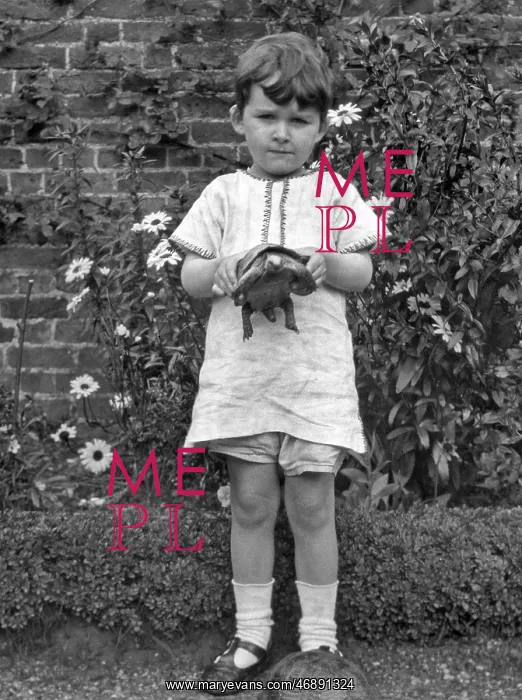  : Child with two tortoises in a garden