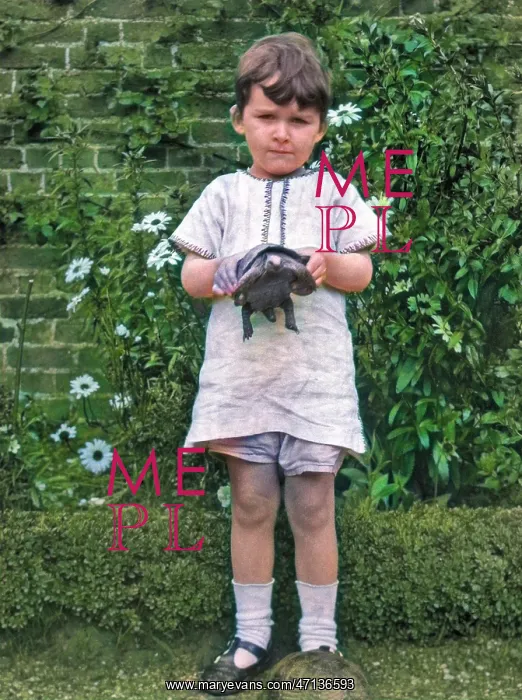  : Child with two tortoises in a garden