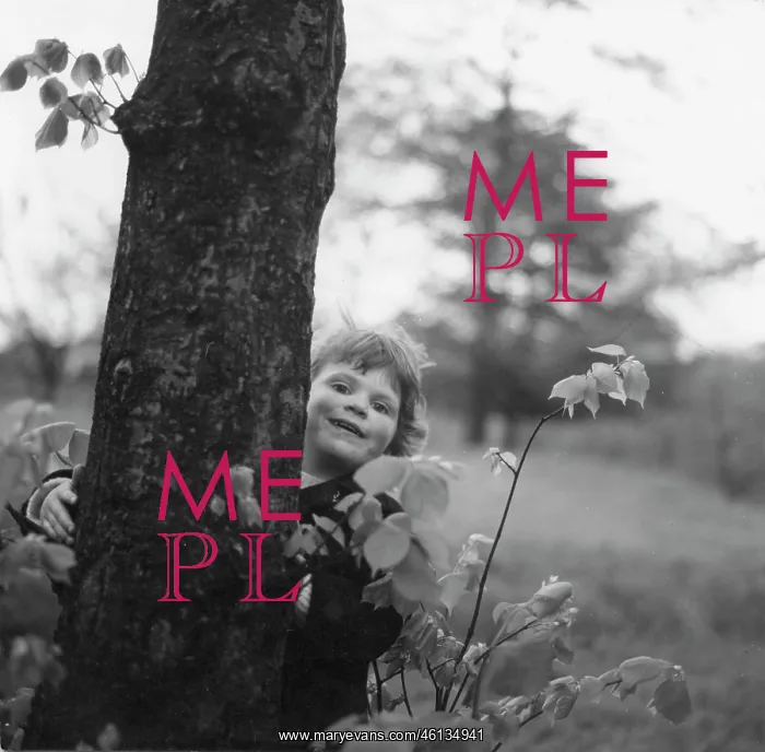 : Child behind a tree trunk : Child behind a tree trunk