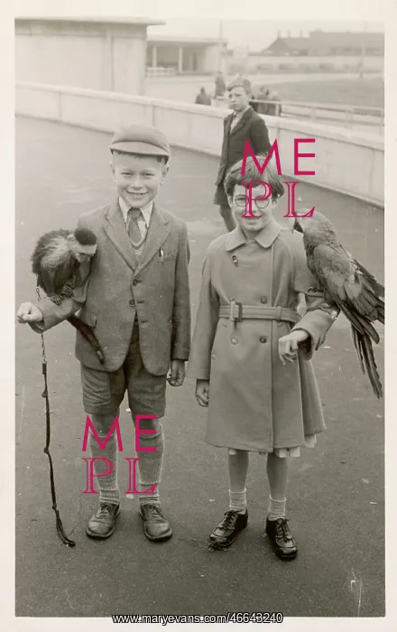 : CHILDREN / ANIMALS / 1950S : CHILDREN / ANIMALS / 1950S