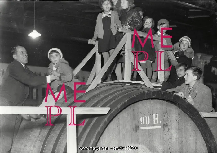 : Children on the barrel when sliding in Klosterneuburg : Children on the barrel when sliding in Klosterneuburg
