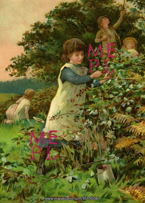 : Children blackberrying : Children blackberrying