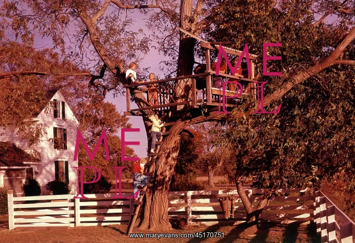 : Six Children Climbing Up into Tree Tree House : Six Children Climbing Up into Tree Tree House