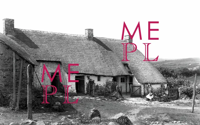  : Children and Cottages in Devon 1909