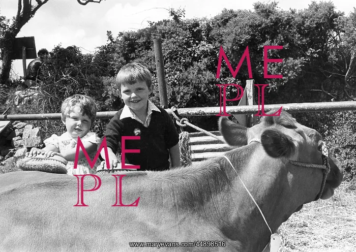 : Children at County Showground, Cornwall : Children at County Showground, Cornwall