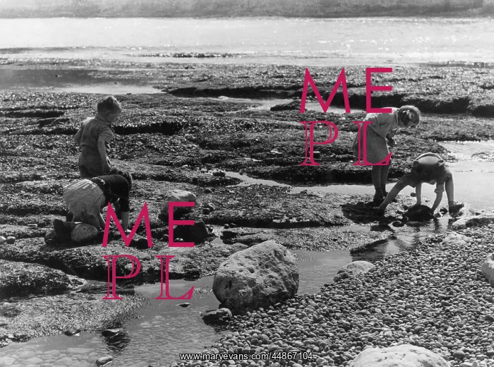 : CHILDREN CRABBING : CHILDREN CRABBING