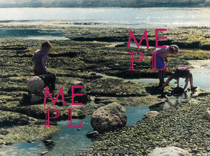 : CHILDREN CRABBING : CHILDREN CRABBING
