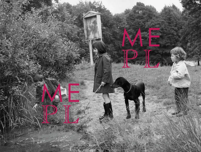 : Three children and a dog in a park : Three children and a dog in a park