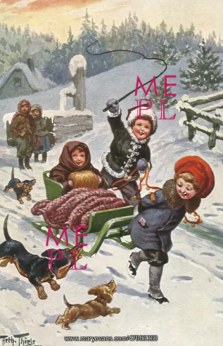  : Children, Dogs and Sled