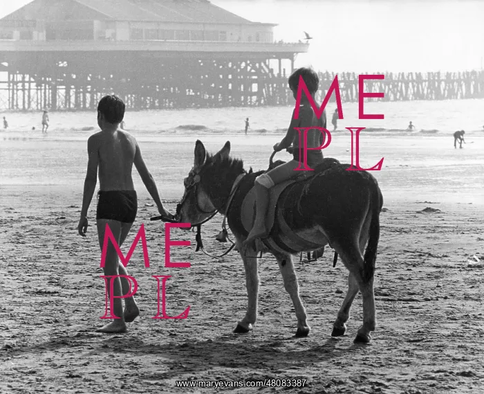: Children and donkey on a beach near a pier : Children and donkey on a beach near a pier
