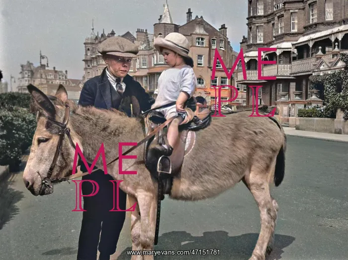  : Two children with a donkey at the seaside