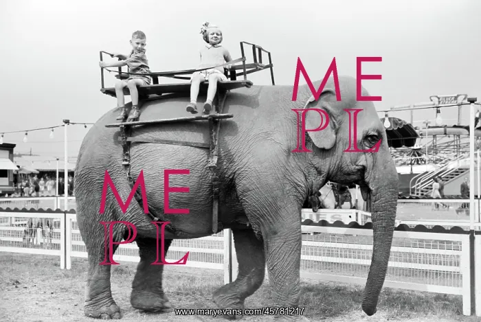  : Children - Elephant - Animal - Carnival