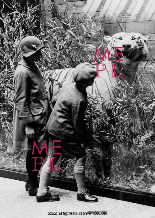 : Children examining tiger, c. 1927. The Natural History Muse : Children examining tiger, c. 1927. The Natural History Muse