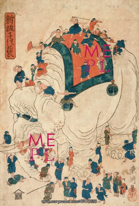 : Children exploring an elephant : Children exploring an elephant