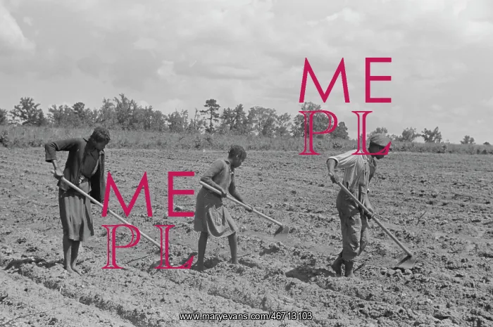 : Children - Farm - Field - Workers : Children - Farm - Field - Workers