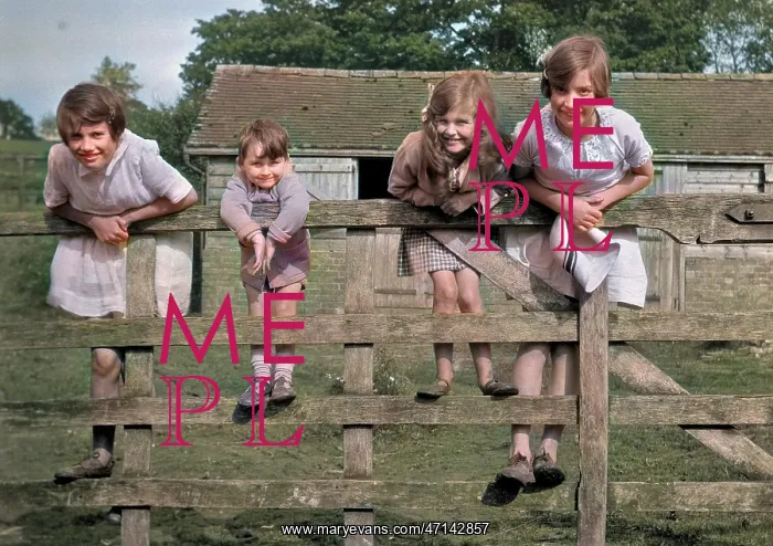 : Four children on a fence : Four children on a fence